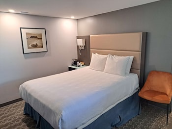Standard Room, 1 Queen Bed, Non Smoking (Shower Only)