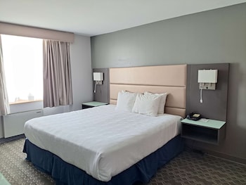 Executive Room, 1 King Bed, Non Smoking (Shower Only)