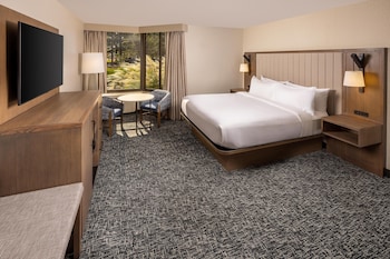 Deluxe Room, 1 King Bed, Non Smoking