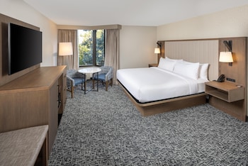 Room, 1 King Bed, Accessible, Bathtub