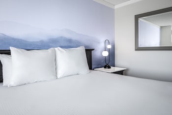 Deluxe Room, 1 King Bed, Non Smoking