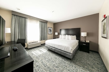 Standard Room, 1 King Bed, Non Smoking