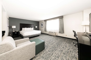 Standard Room, 1 King Bed, Accessible, Non Smoking