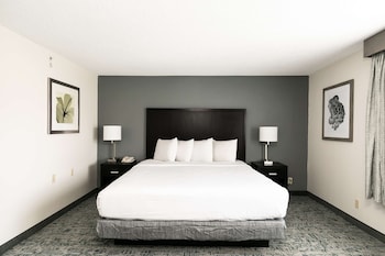 Standard Room, 1 King Bed, Accessible, Non Smoking