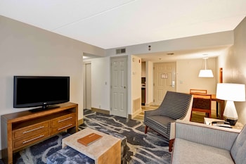 Suite, 1 King Bed