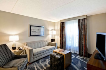 Suite, 1 King Bed