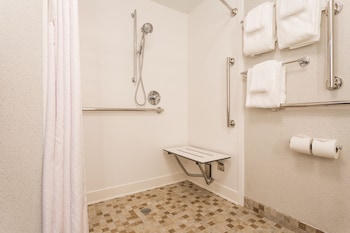 Room, 1 King Bed, Accessible, Non Smoking (Roll-In Shower)