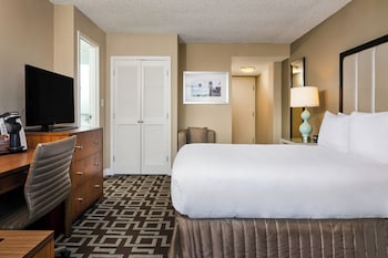 Room, 1 Queen Bed