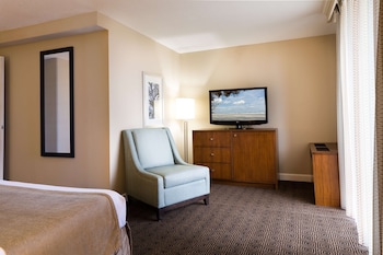 Room, 1 King Bed