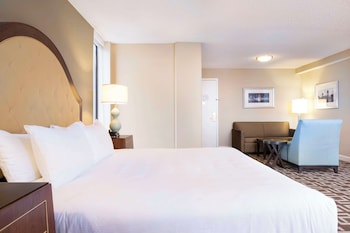 Studio, 1 King Bed