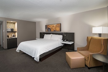 Premium Suite, 1 Bedroom
