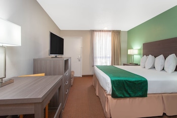 Room, 1 King Bed