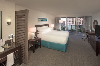 Room, 1 King Bed