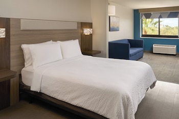 Suite, 1 Double Bed, Accessible (Comm, Roll-In Shower)