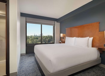 Room, 1 King Bed (Specialty)