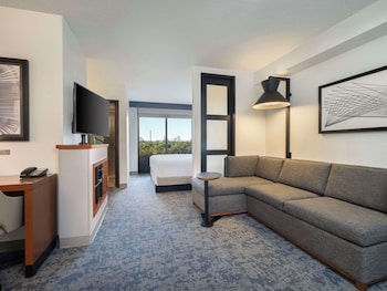 Room, 1 King Bed (Specialty)