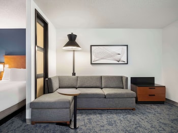 Room, 1 King Bed (Specialty)