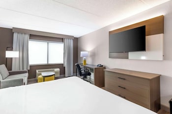 Standard Room, 1 King Bed with Sofa bed, Non Smoking