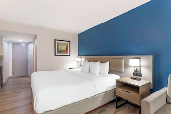 Standard Room, 1 King Bed with Sofa bed, Non Smoking