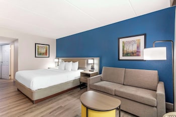 Standard Room, 1 King Bed with Sofa bed, Non Smoking