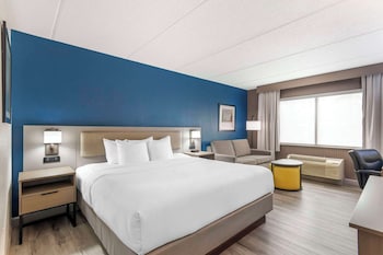 Standard Room, 1 King Bed with Sofa bed, Non Smoking
