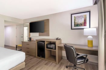 Room, 1 King Bed, Accessible, Non Smoking