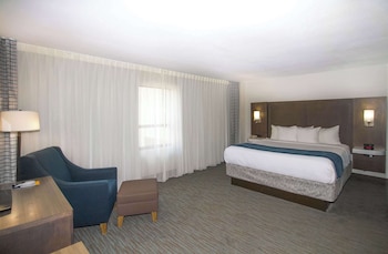 Room, 1 King Bed, Non Smoking