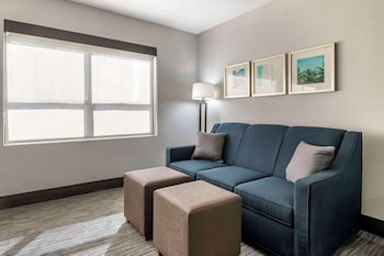 Suite, 1 King Bed, Non Smoking