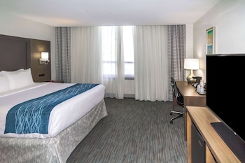 Room, 1 King Bed, Non Smoking