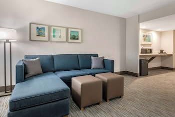 Suite, 1 King Bed, Non Smoking