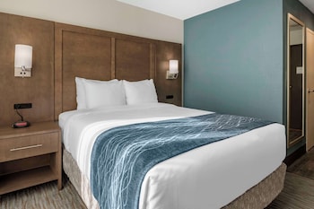 Room, 1 Queen Bed, Accessible, Non Smoking