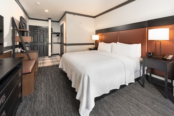 Classic Room, 1 King Bed, Roll-in Shower