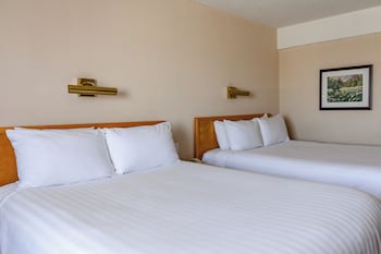 Business Room, 2 Queen Beds