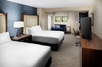 1 King Bed, Mobility Accessible, Roll In Showe