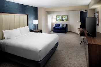 1 King Bed, Mobility Accessible, Roll In Showe