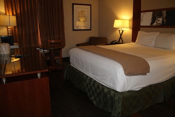 Deluxe Room (1 King Bed , Smoking)