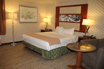 Deluxe Room (1 King Bed , Smoking)
