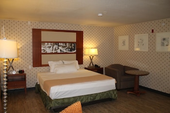 Deluxe Room (1 King Bed , Smoking)