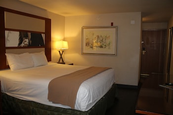 Deluxe Suite (1 King Bed Non Smoking)