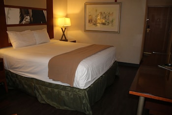 Deluxe Suite (1 King Bed Non Smoking)