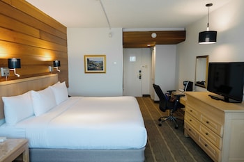 Business Room, 1 King Bed