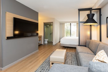 Standard Room, 1 King Bed