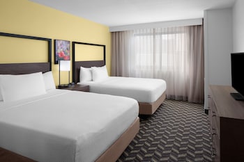 Suite, 1 Bedroom