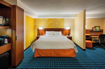 Suite, 1 King Bed with Sofa bed