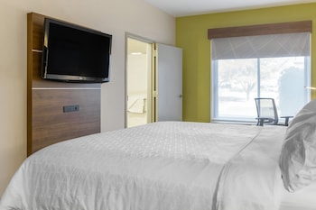 Suite, 1 King Bed with Sofa bed