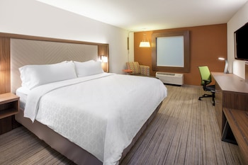 Suite, 1 King Bed with Sofa bed
