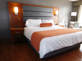 Room, 1 King Bed, Accessible, Non Smoking (Roll-In Shower)