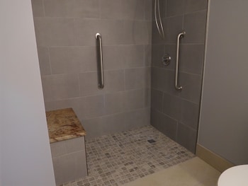 Room, 1 King Bed, Accessible, Non Smoking (Roll-In Shower)