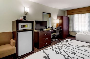 Standard Room, 2 Queen Beds, Non Smoking, Refrigerator & Microwave