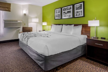 Standard Room, 1 King Bed, Non Smoking, Refrigerator & Microwave